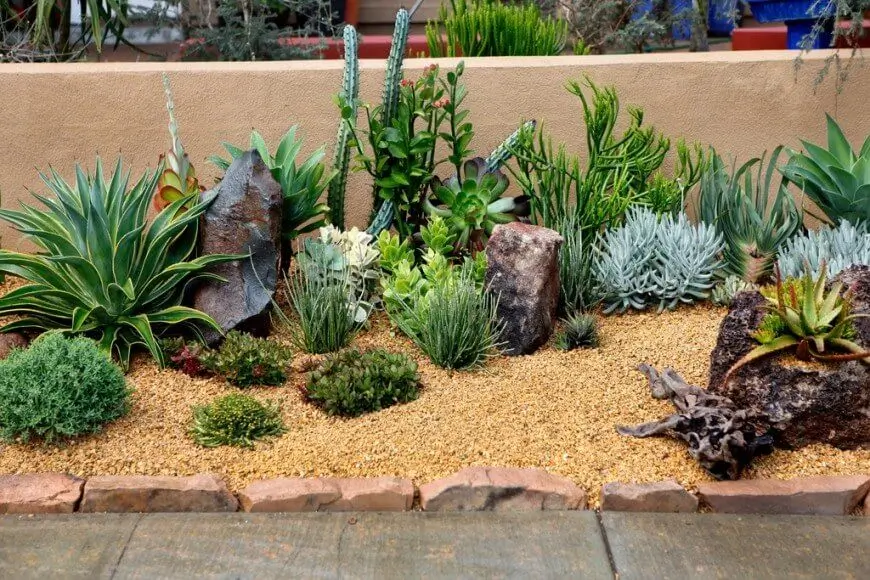39 VALUABLE ADU IDEAS TO OPTIMIZE SPACE IN A BACKYARD BUILD (700+ PICS) 97 Desert inspired rock garden 2