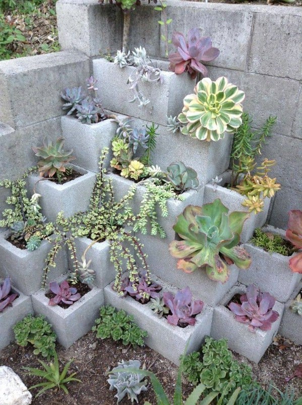 39 VALUABLE ADU IDEAS TO OPTIMIZE SPACE IN A BACKYARD BUILD (700+ PICS) 98 succulent garden pinterest jpeg