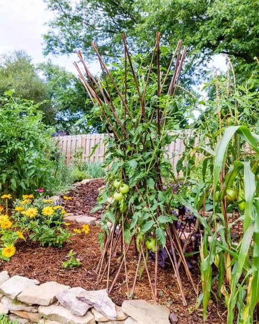 39 VALUABLE ADU IDEAS TO OPTIMIZE SPACE IN A BACKYARD BUILD (700+ PICS) 102 Climbing trellis