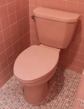 Rose pink toilet