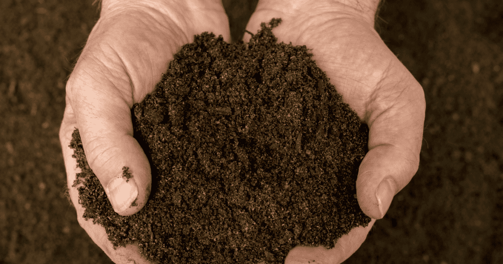 THE 4 BEST COMPOSTING TOILETS FOR RVS AND CAMPER VANS 23 compost