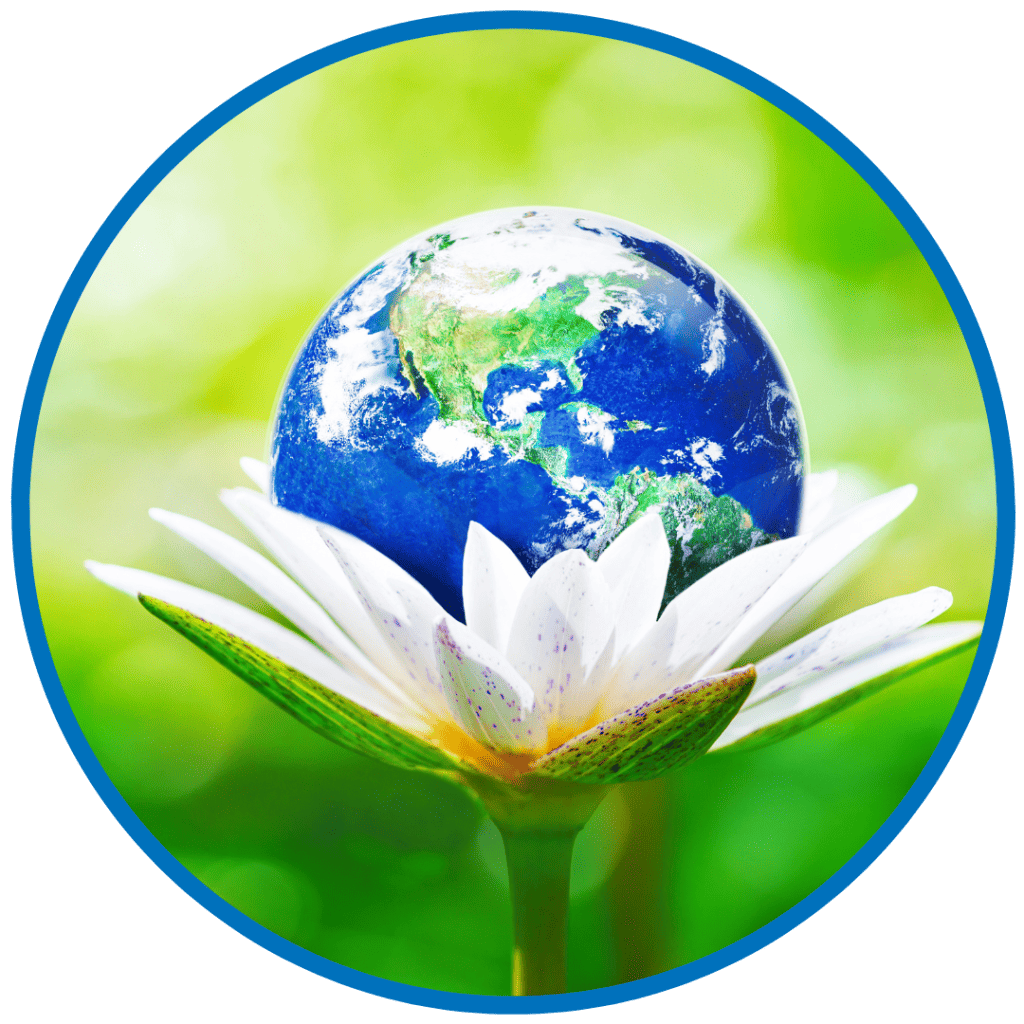 8 GREEN LIFESTYLE TRENDS TO EMBRACE IN 2024: SHAPING TOMORROW 15 earth