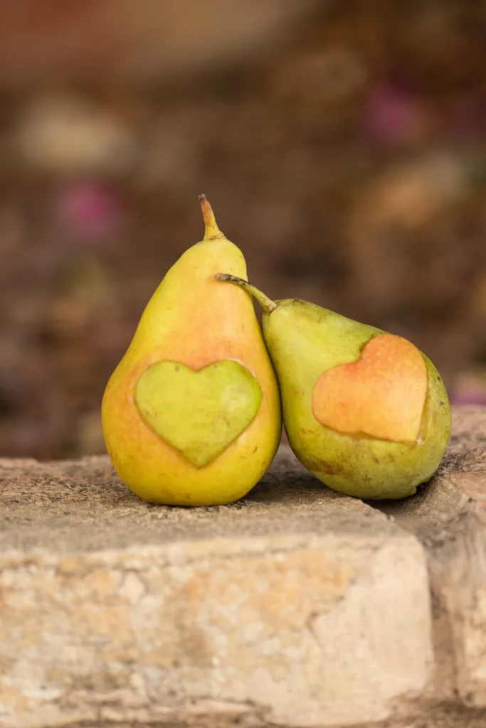 8 GREEN LIFESTYLE TRENDS TO EMBRACE IN 2024: SHAPING TOMORROW 9 Pears
