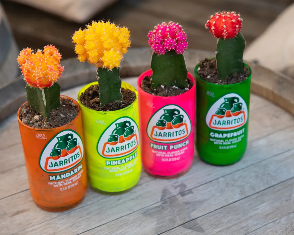 8 GREEN LIFESTYLE TRENDS TO EMBRACE IN 2024: SHAPING TOMORROW 8 jarritos-mexican-soda