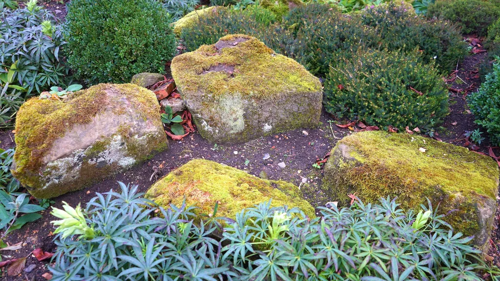 39 VALUABLE ADU IDEAS TO OPTIMIZE SPACE IN A BACKYARD BUILD (700+ PICS) 245 Aerial Photography of Plants