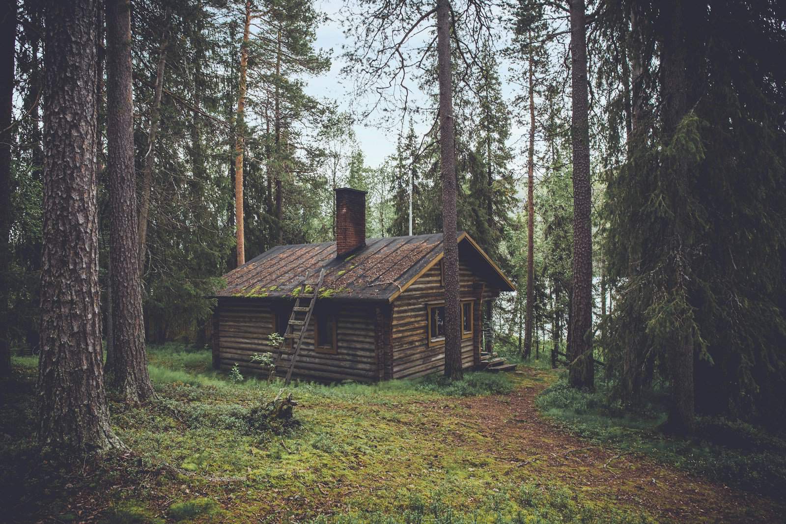 LIVING LESS: 50 POWERFUL DOWNSIZING QUOTES TO INSPIRE YOUR JOURNEY 4 photo of brown wooden cabin in forest during daytime