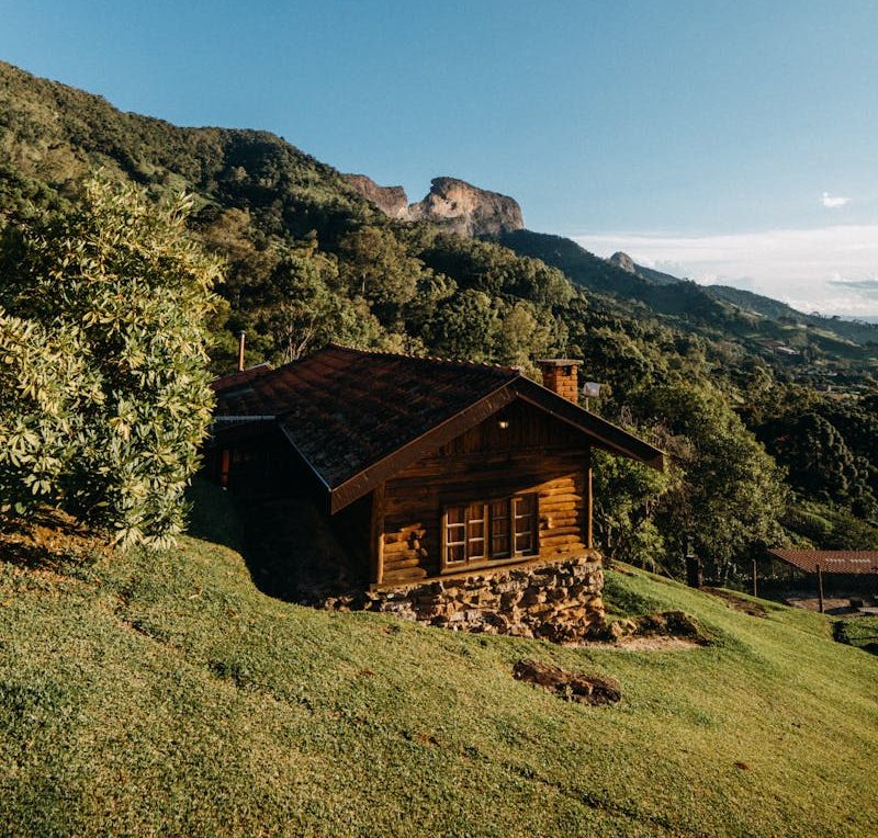 EXPLORING 4 TINY HOUSE FOUNDATION OPTIONS: WHAT YOU NEED TO KNOW 2 Aged wooden hut located on grassy hill slope near green trees growing on mountain in countryside on sunny summer day